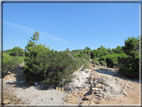 foto Spiagge di San Teodoro